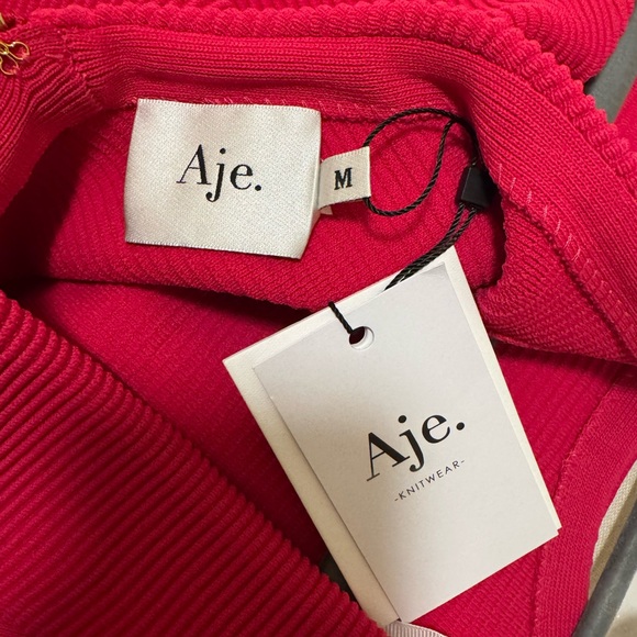 Aje Rushes Raffia Dress - Picture 5 of 5